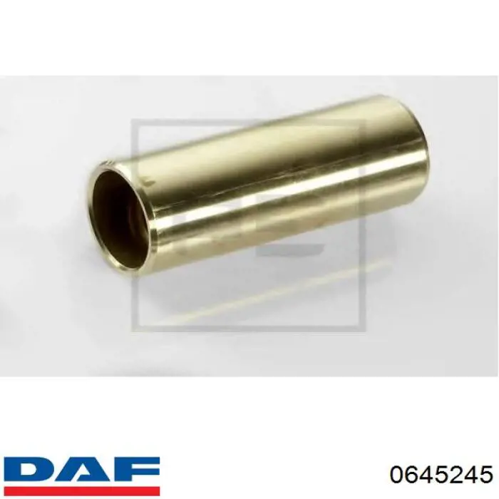 Купити 0645245 DAF 