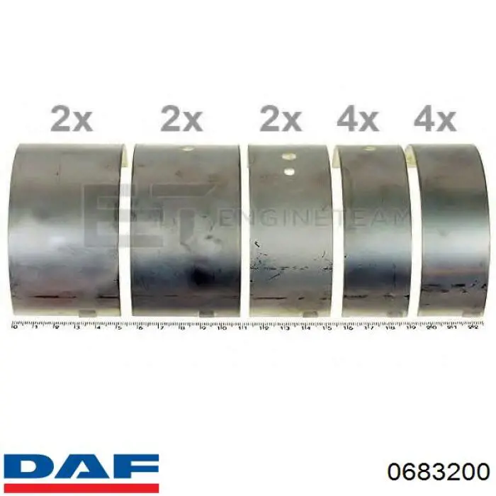 Вкладиші колінвала, корінні, комплект, стандарт (STD) DAF 95 (Даф 95)
