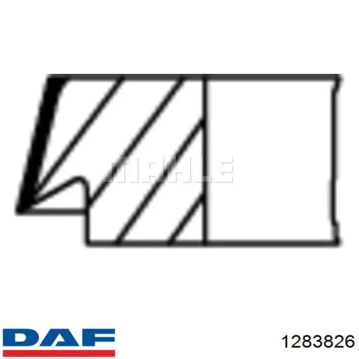 Купити 1283826 DAF Кільця поршневі компресора, на 1 циліндр, STD