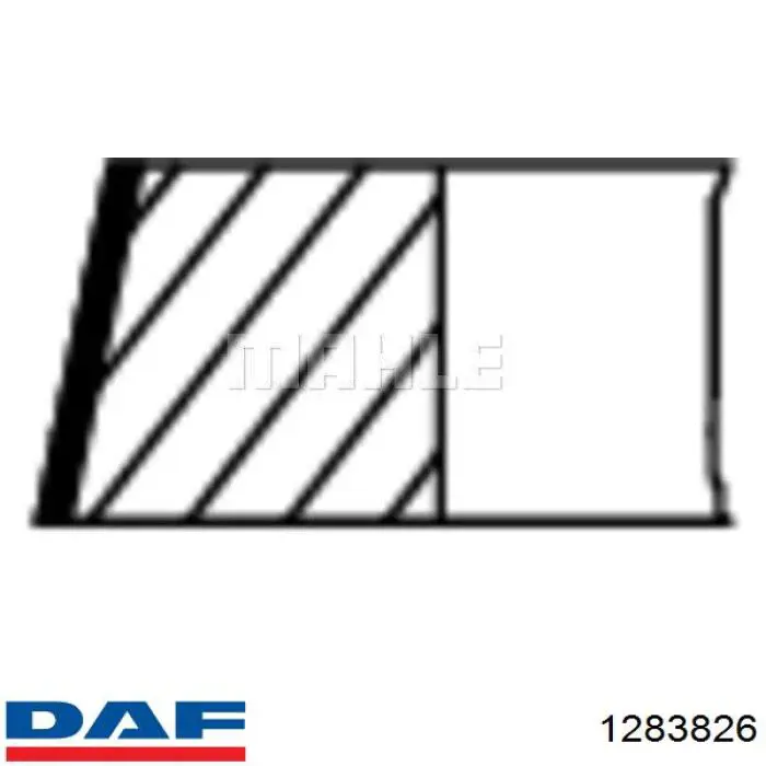 Комплект поршневих кілець компресора, на 1 циліндр, STD DAF 1283826 ціна, від 9.28 USD