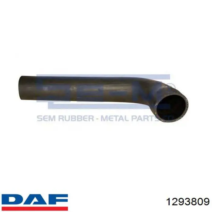1293809 DAF Шланг/патрубок радіатора охолодження, нижній