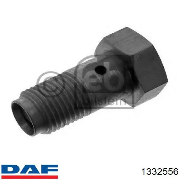 1332556 DAF Паливний перепускний клапан (болт банджо)