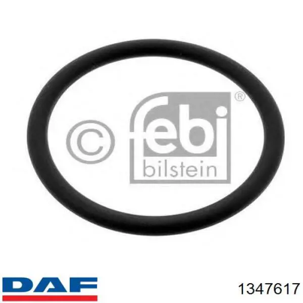 1347617 DAF Прокладка водяної помпи
