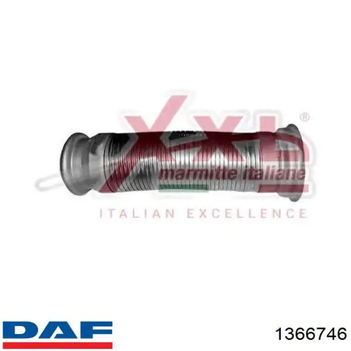 1366746 DAF 