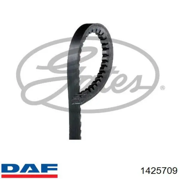 Клиновий ремінь DAF 1425709 ціна, від 5.50 USD