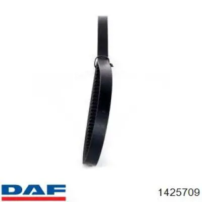 Купити 1425709 DAF Ремінь генератора