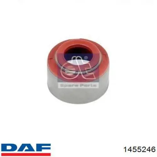 1455246 DAF Сальник клапана (Маслос'емниє), впуск/випуск