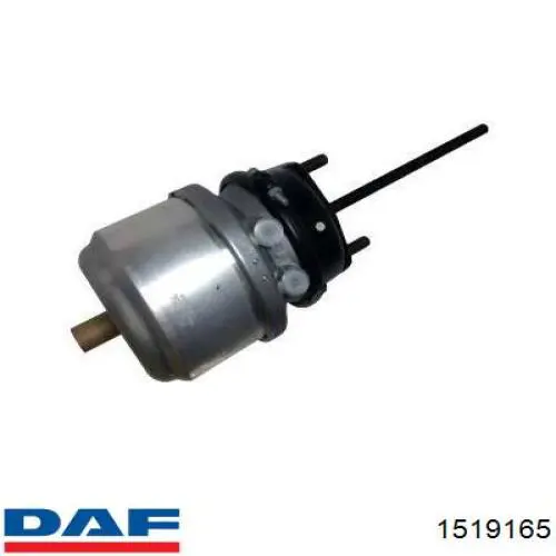 1519165 DAF Балони повітряні пневмогальм