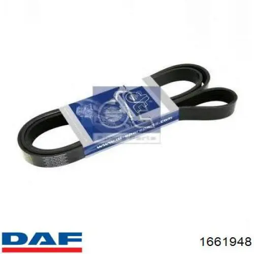 Купити 1661948 DAF Ремінь генератора