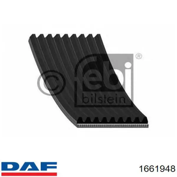 Ремінь генератора 1661948 DAF