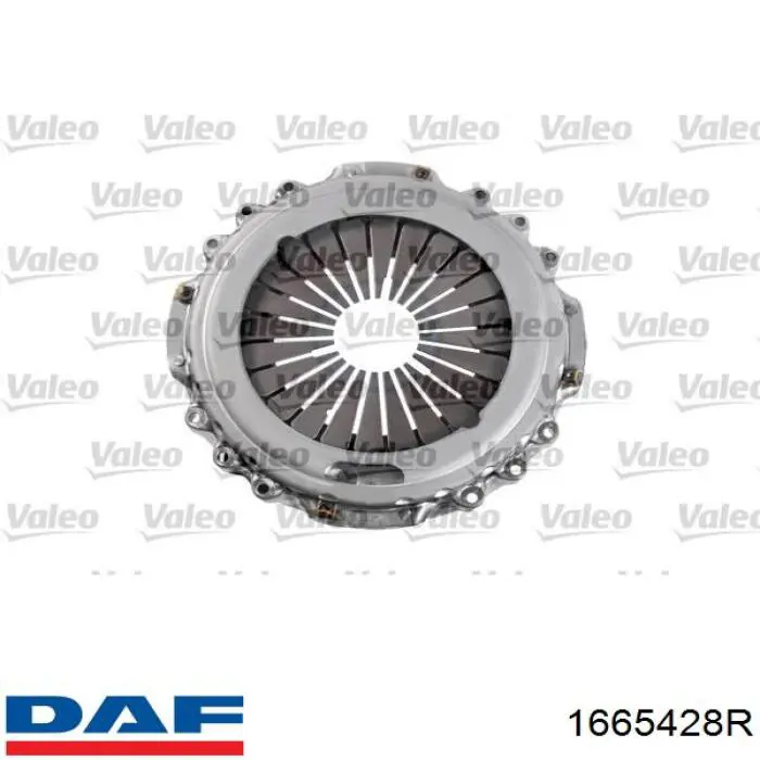Пелюстковий кошик зчеплення DAF 1665428R ціна, від 1875.77 USD