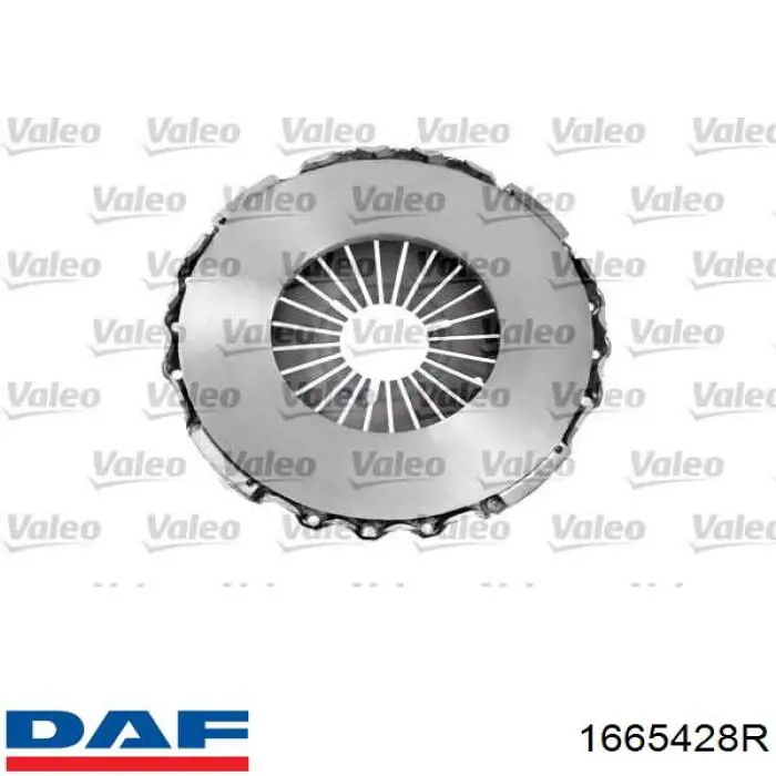 Купити 1665428R DAF Корзина зчеплення