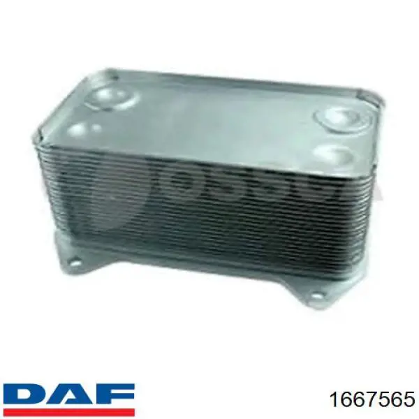 Купити 1667565 DAF Радіатор масляний