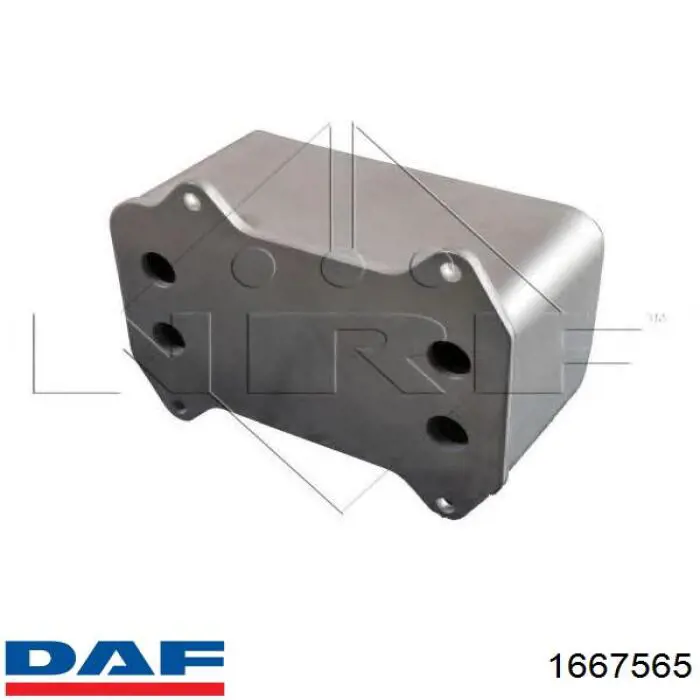 1667565 DAF Радіатор масляний