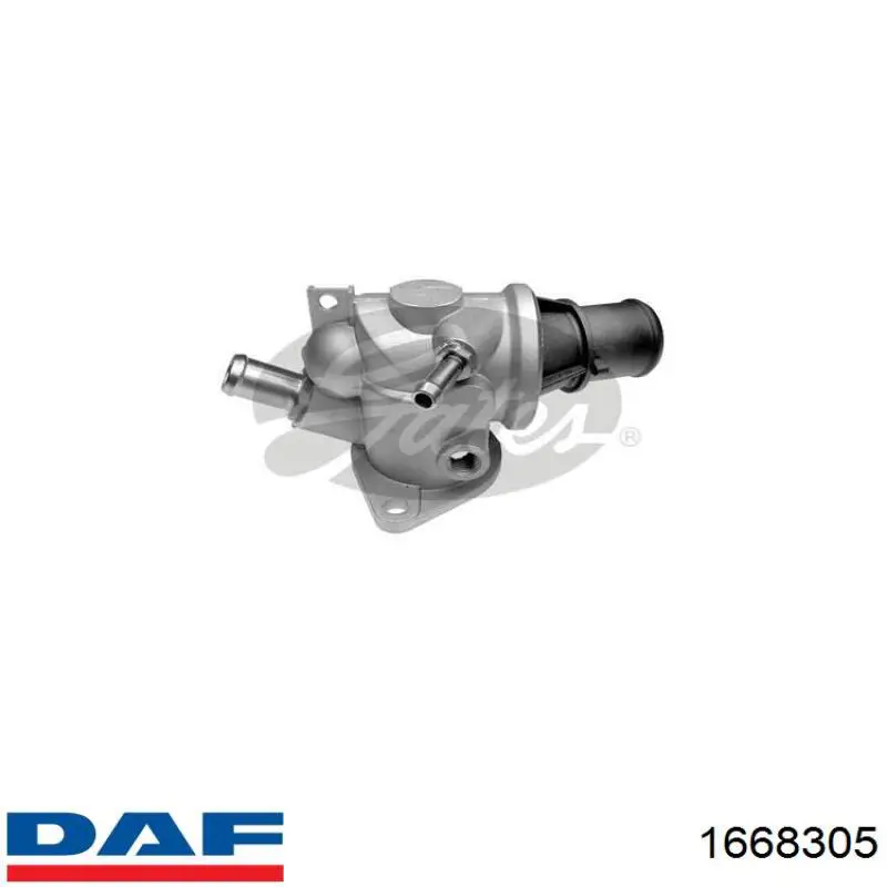 1668305 DAF