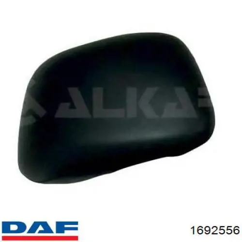 1692556 DAF Праве дзеркало заднього виду
