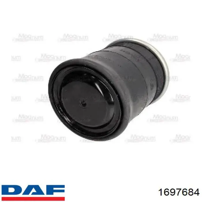 Купити 1697684 DAF Пневмоподушка/Пневморессора моста заднього