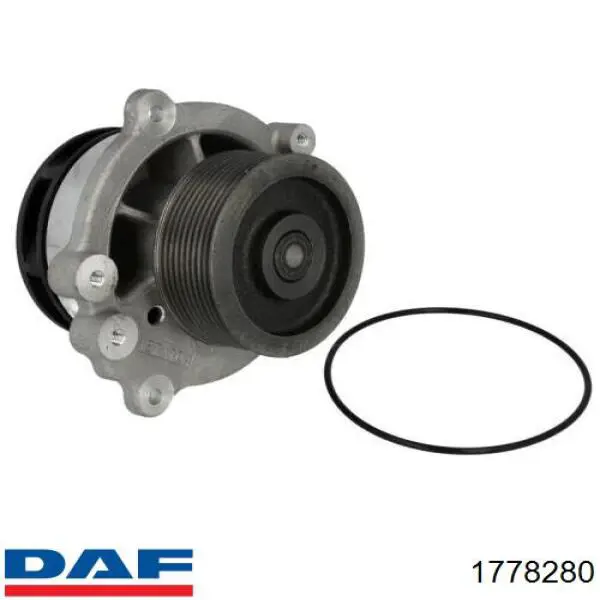 Помпа охолодження DAF 1778280 ціна, від 136.18 USD