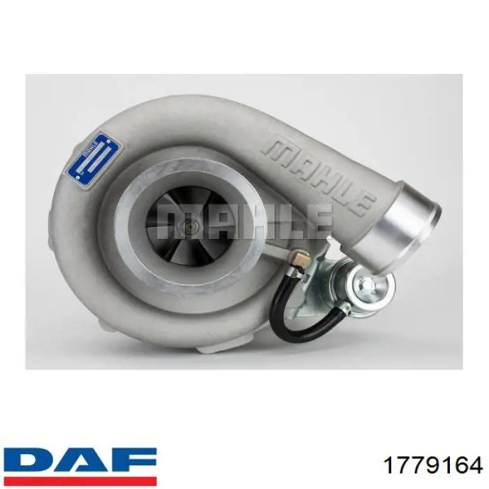 Купити 1779164 DAF Турбіна
