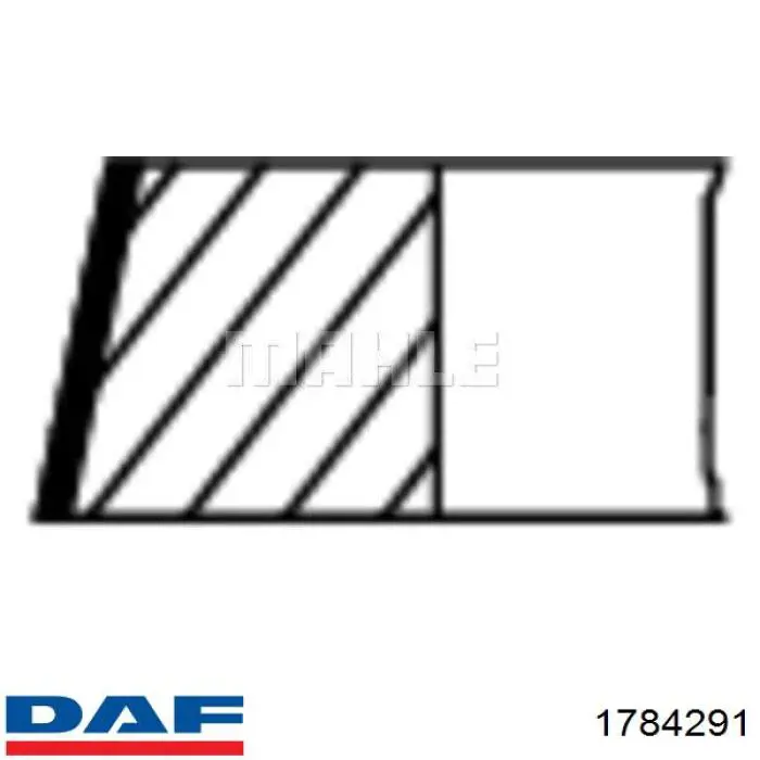 Кільця поршневі на 1 циліндр, STD. DAF 1784291 ціна, від 19.24 USD