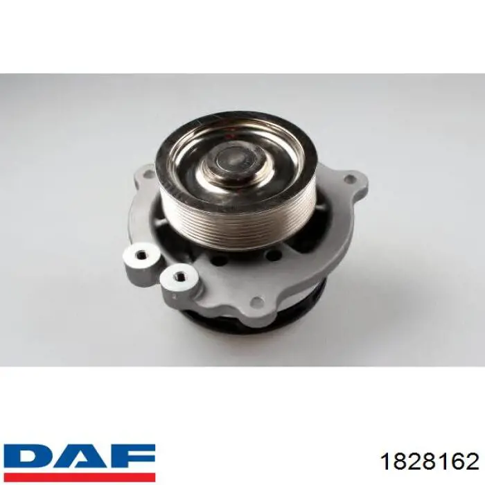 Помпа охолодження DAF 1828162 ціна, від 136.18 USD
