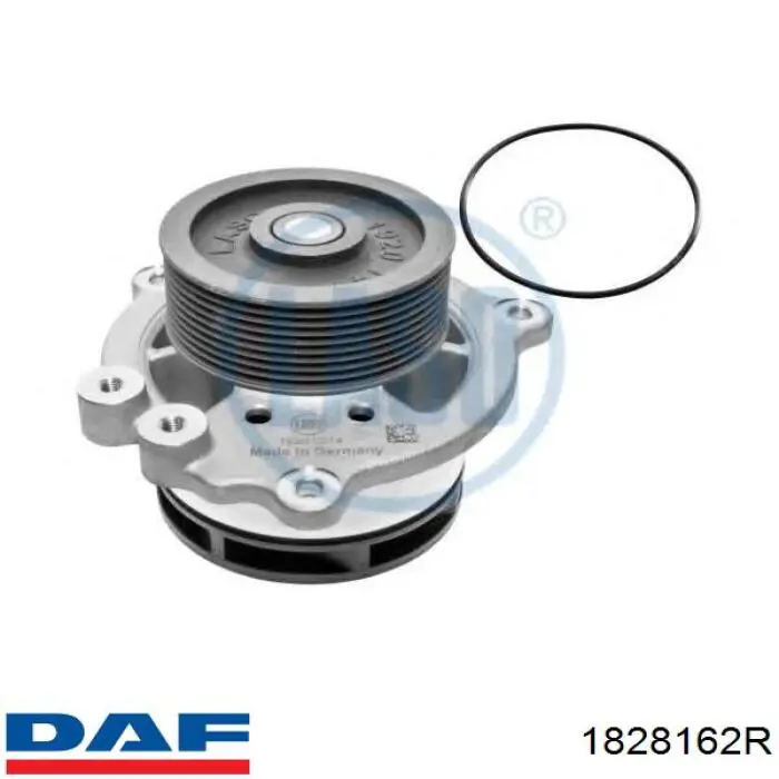 1828162R DAF Насос охолодження
