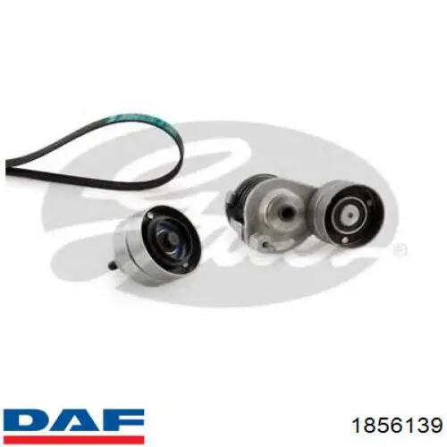 Ремінь приводний, агрегатів, комплект Rider RD7PK1752EPDM ціна, від 142.33 USD
