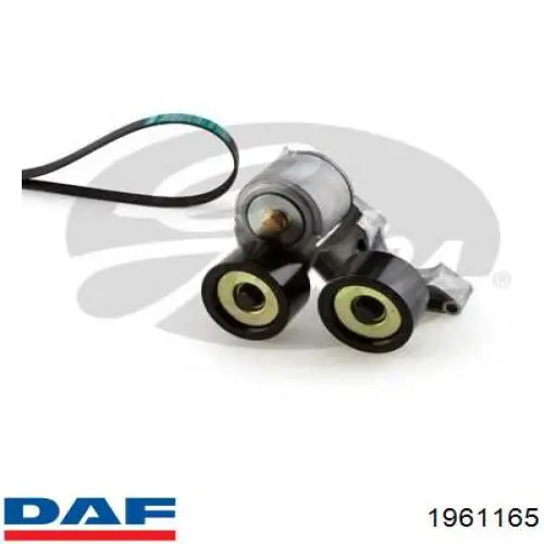 Ремінь приводний, агрегатів, комплект 1961165 DAF