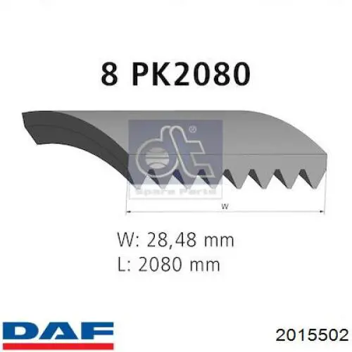 Клиновий ремінь DAF 2015502 ціна, від 20.48 USD