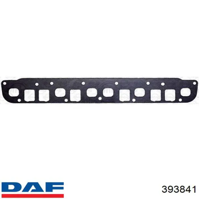 393841 DAF Сальник передньої маточини