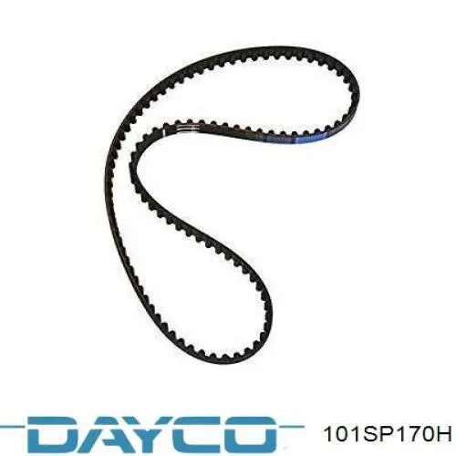 101SP170H Dayco Ремінь двигуна