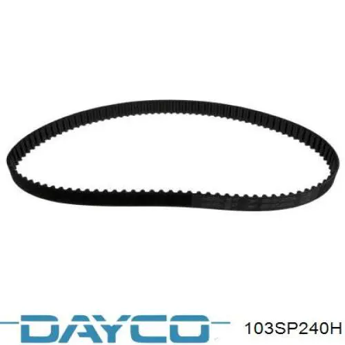 Купити 103SP240H Dayco Ремінь газорозподільного механізму
