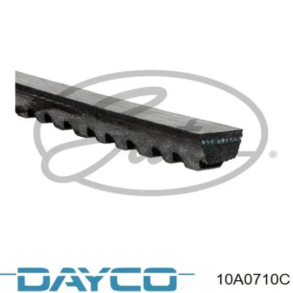 10A0710C Dayco Поліклиновий ремінь