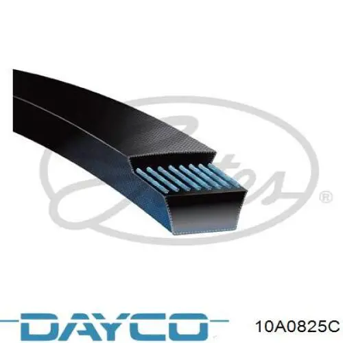 Клиновий ремінь Dayco 10A0825C ціна, від 3.60 USD