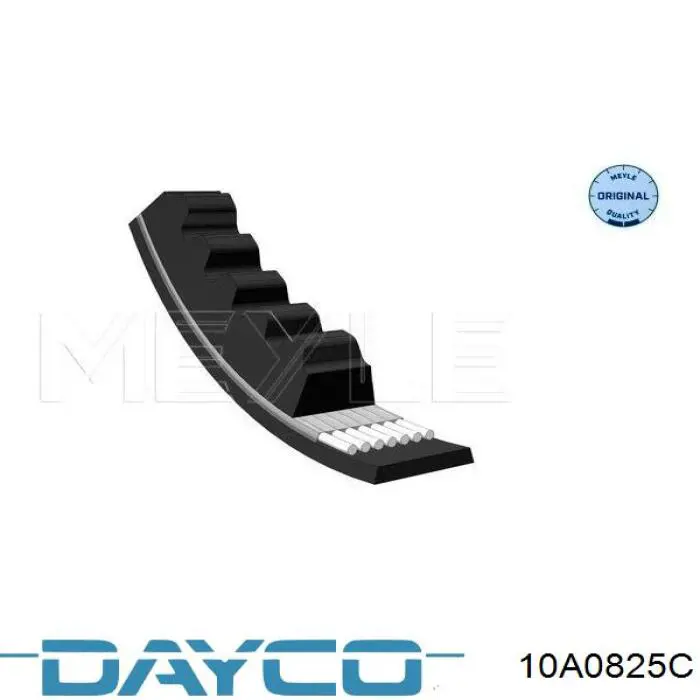 Ремінь генератора 10A0825C Dayco