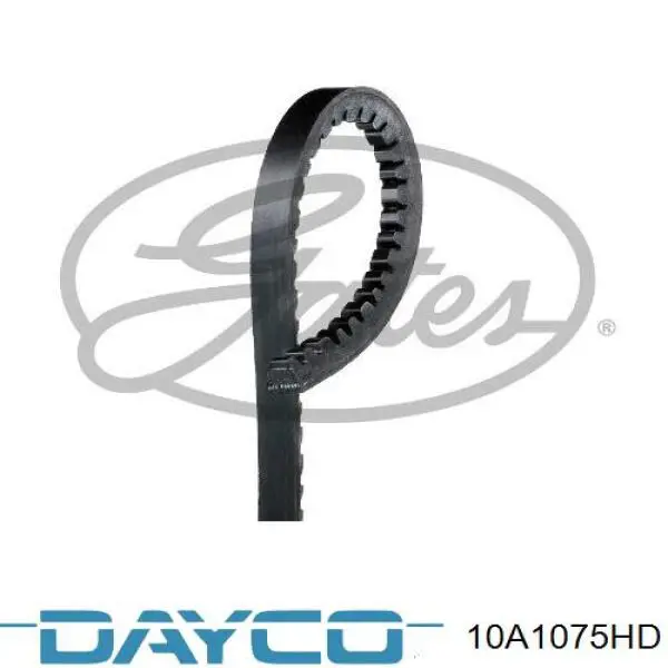 10A1075HD Dayco Поліклиновий ремінь