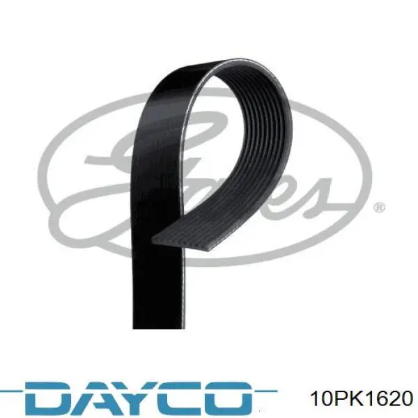 Купити 10PK1620 Dayco Ремінь генератора