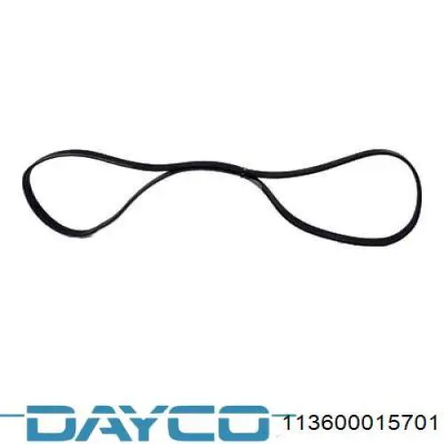 113600015701 Dayco Поліклиновий ремінь