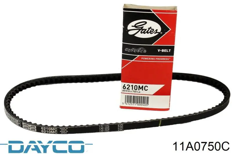 Купити 11A0750C Dayco Ремінь генератора