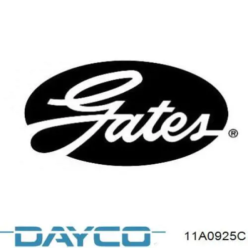 Купити 11A0925C Dayco Ремінь генератора