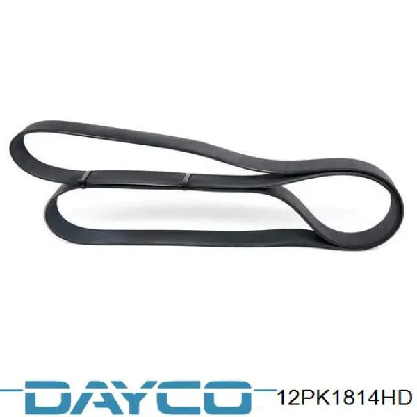 Купити 12PK1814HD Dayco Ремінь генератора