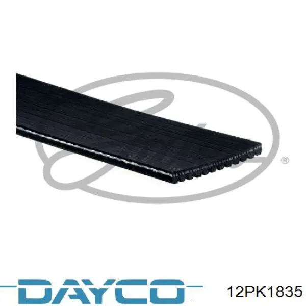 Купити 504049426 Iveco Ремінь генератора