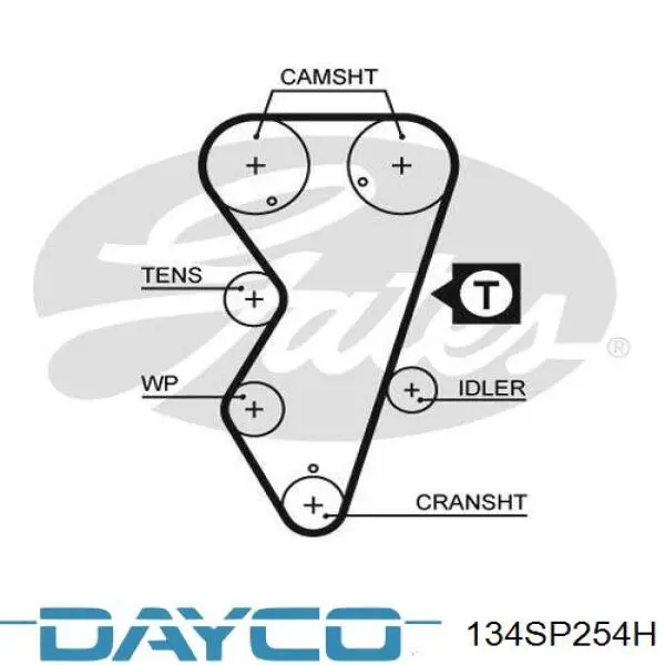 Ремінь ГРМ 134SP254H Dayco