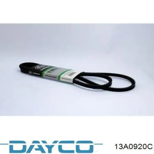  13A0920C Dayco