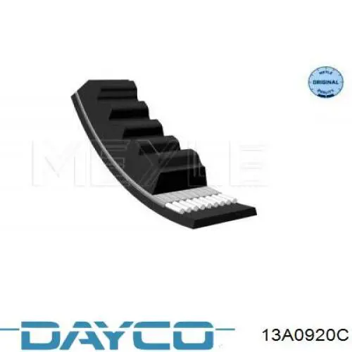 13A0920C Dayco 