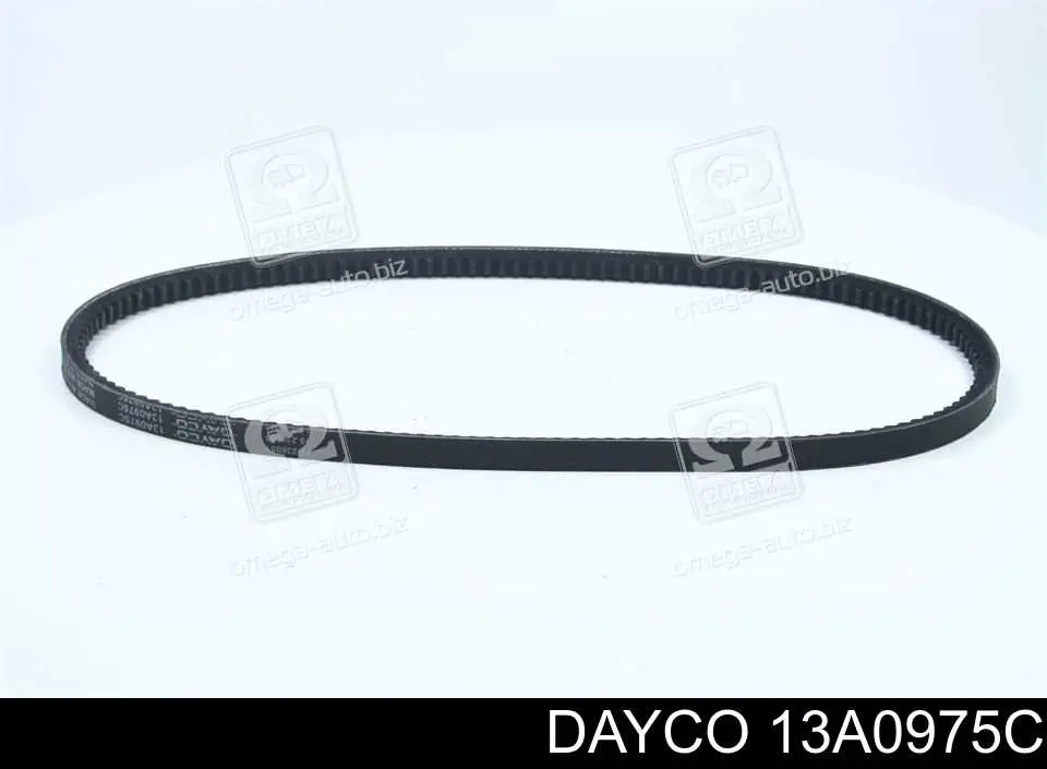 13A0975C Dayco Поліклиновий ремінь