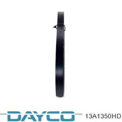 13A1350HD Dayco Поліклиновий ремінь