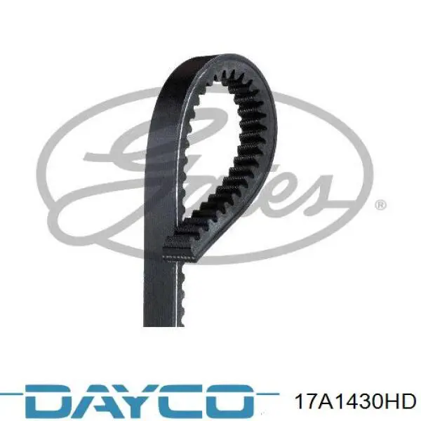 17A1430HD Dayco Поліклиновий ремінь