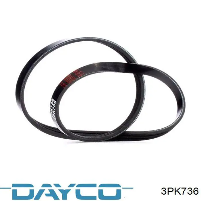 Купити 3PK736 Dayco Ремінь генератора