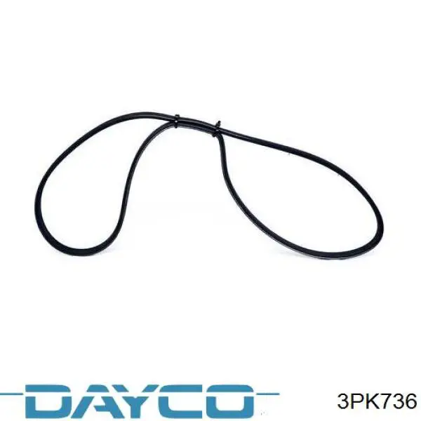 Купити 3PK736 Dayco Ремінь генератора